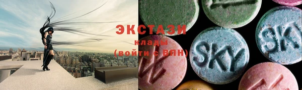 стаф Вязьма