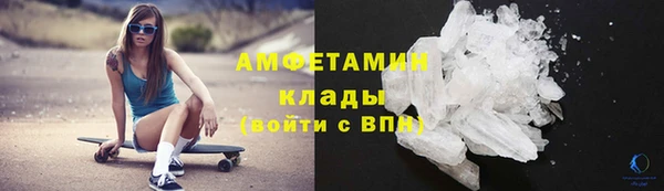 стаф Вязьма