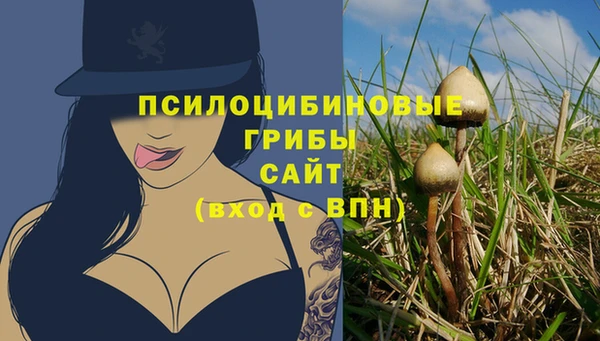 стаф Вязьма