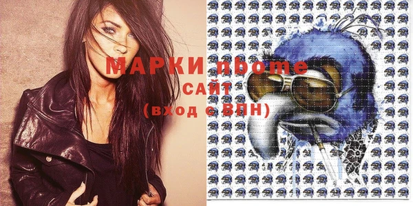 стаф Вязьма