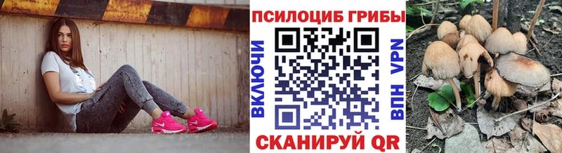 Купить  Вилючинск  Галлюциногенные грибы MAGIC MUSHROOMS 