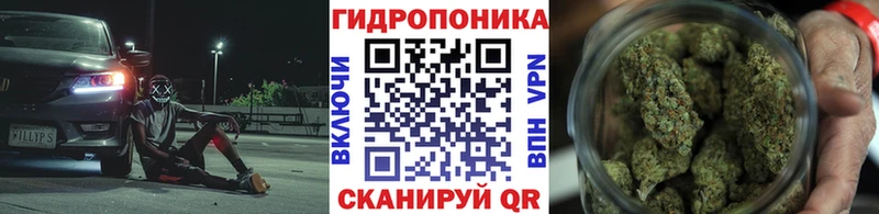 Бошки марихуана THC 21%  Купить где  Вилючинск 